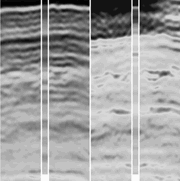 Seismic Inversion