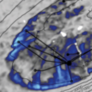 Simulation to seismic