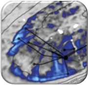 Simulation to seismic 