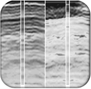 Seismic AVO inversion