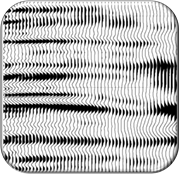 Seismic Data Conditioning